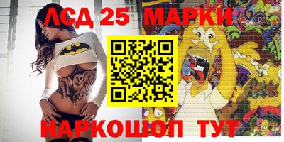 гидропоника Аша