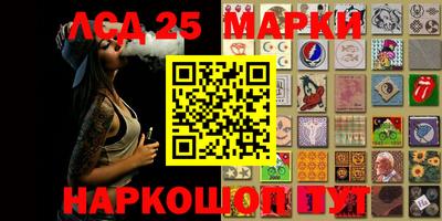 гидропоника Аша