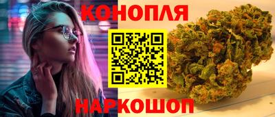 гидропоника Аша
