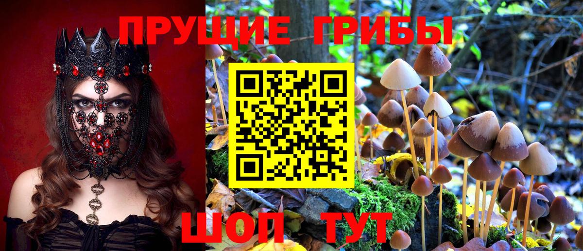 Галлюциногенные грибы мицелий Сертолово