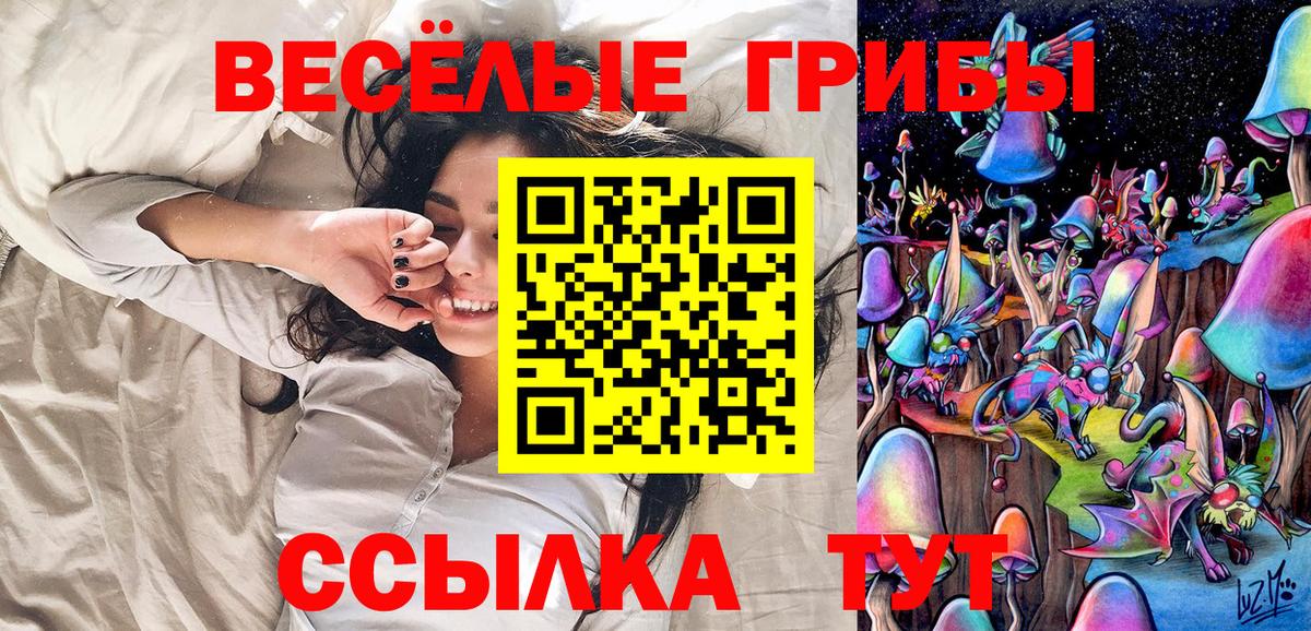 где можно купить   Галлюциногенные грибы Magic Shrooms  Вход с VPN  Сертолово  Галлюциногенные грибы прущие грибы 